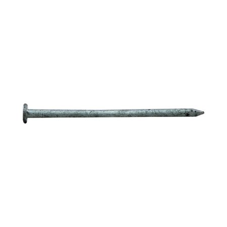 PRO-FIT Common Nail, 4 in L, 20D, Hot Dipped Galvanized Finish 0054208